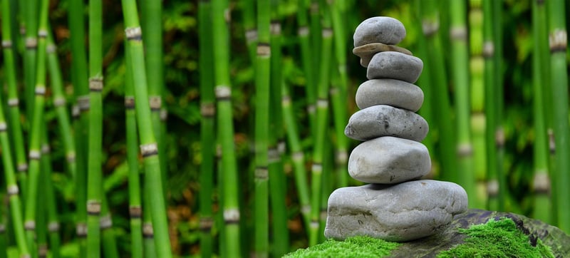 Zen Garden Essentials